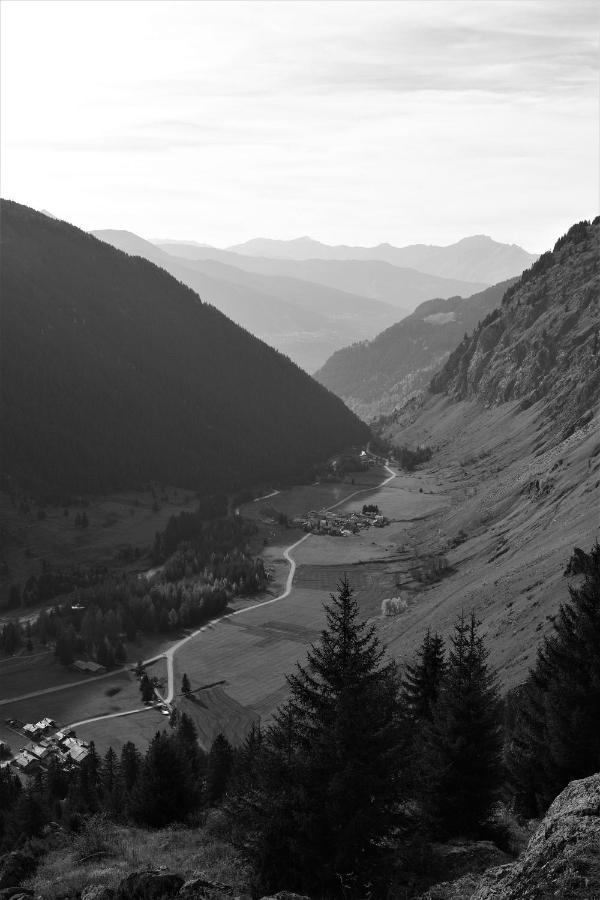La Maizon Du Bois - Le Haut Appartement De 130 M2 - Le Bas Appartement De 70 M2 La Plagne Kültér fotó